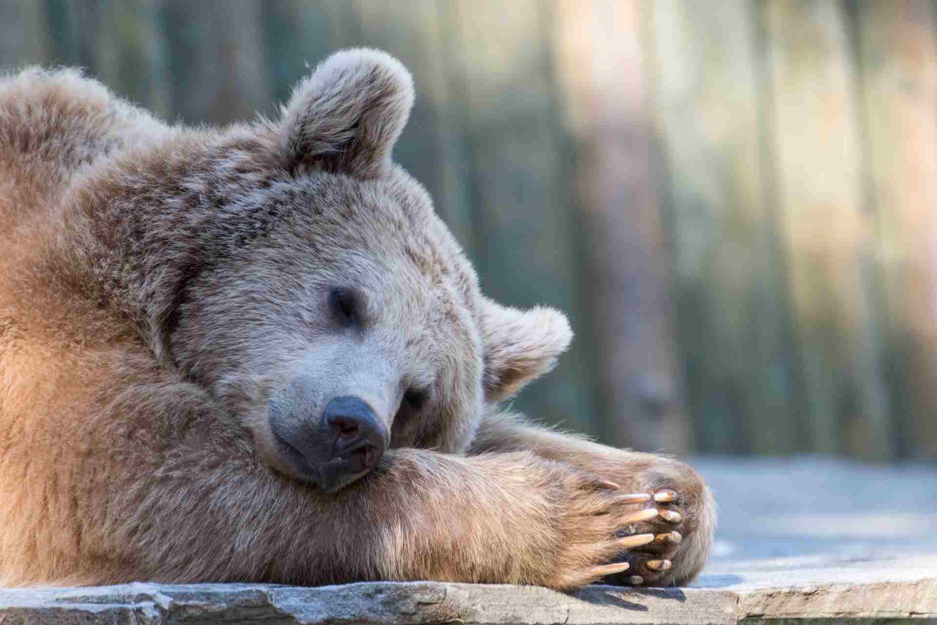 Outside of JPY, FX largely hibernating