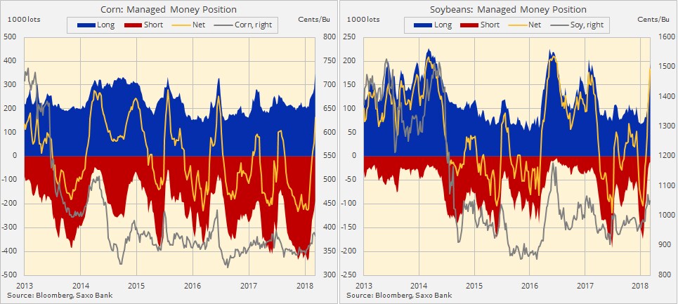 Corn and soybeans