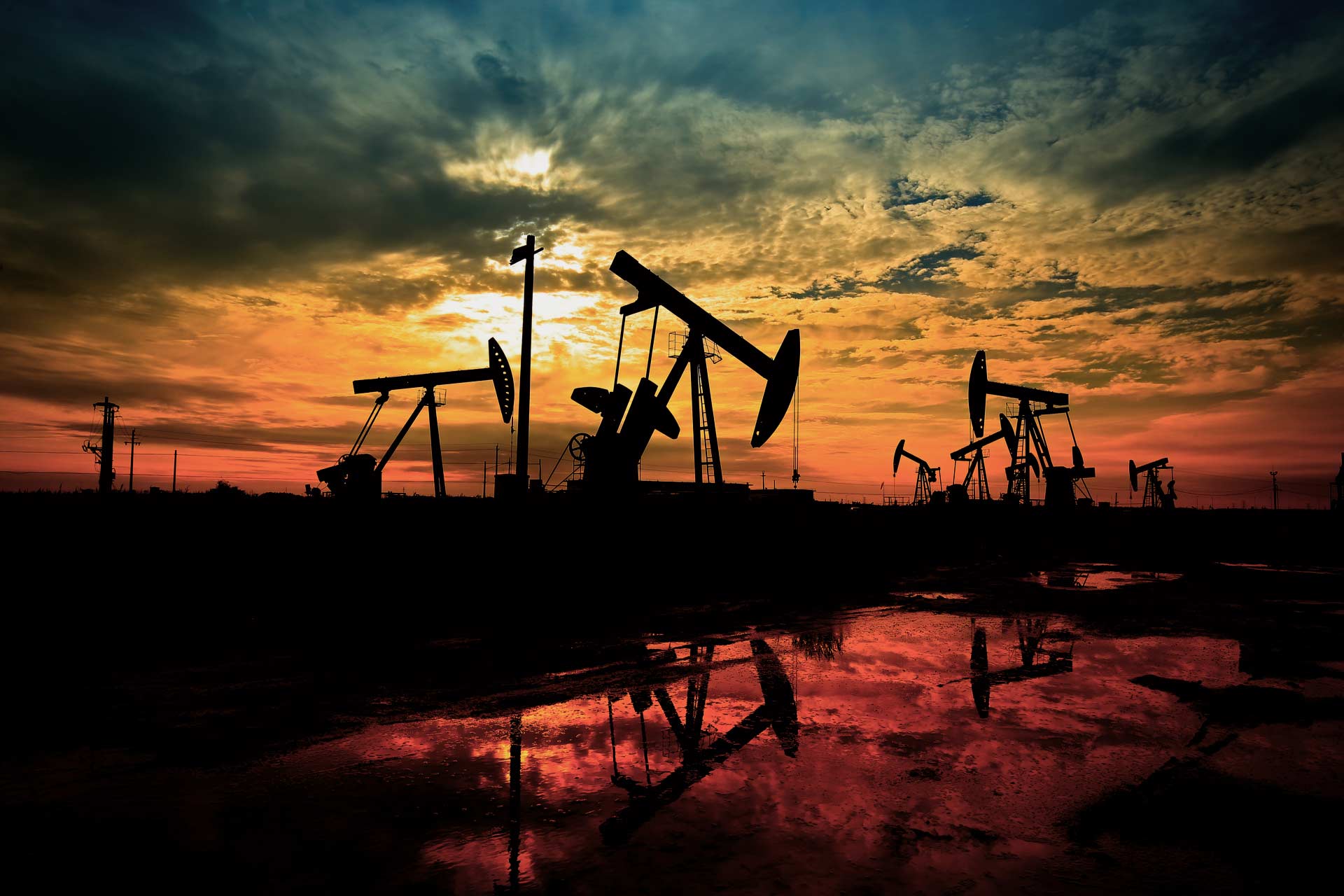 Oil