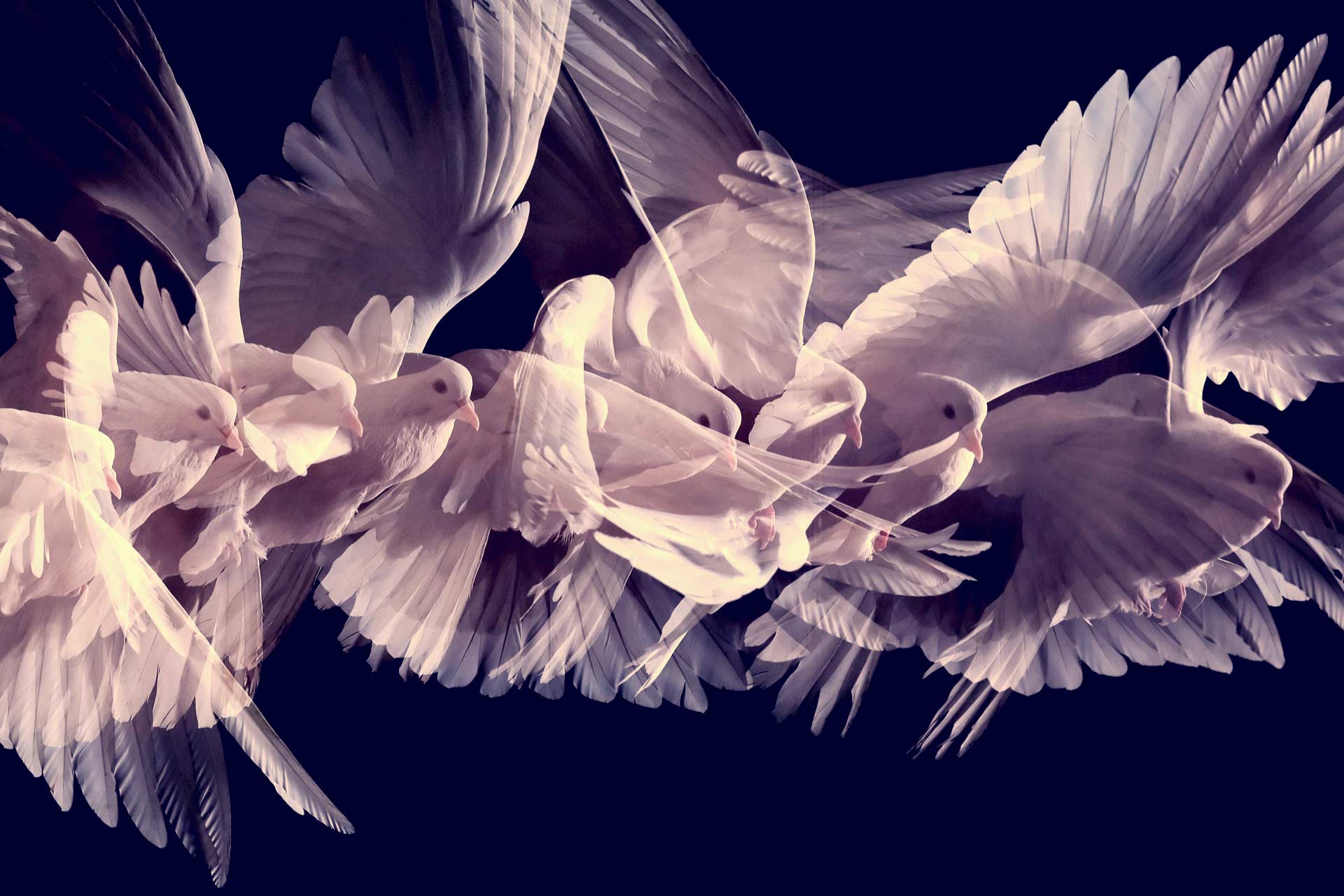 WCU: Gold lifted by Fed doves while oil pauses