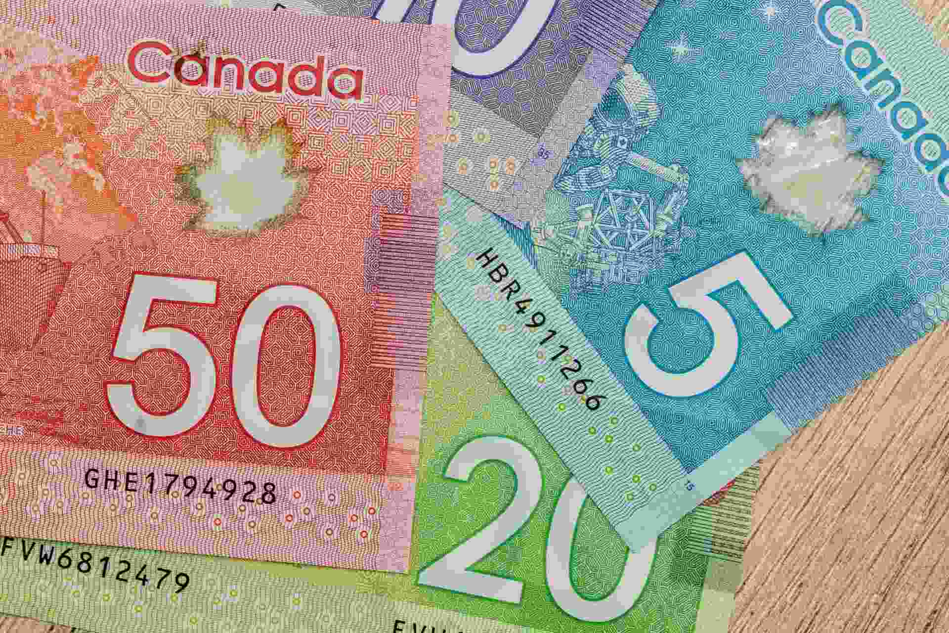 Loonie comes alive