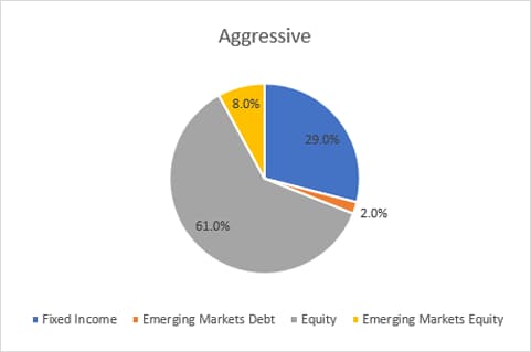 q221-balanced-aggressive