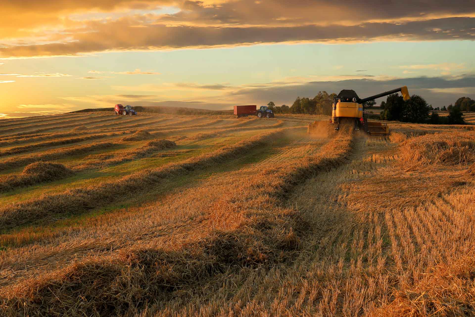WCU: China buying lifts ag sector hopes