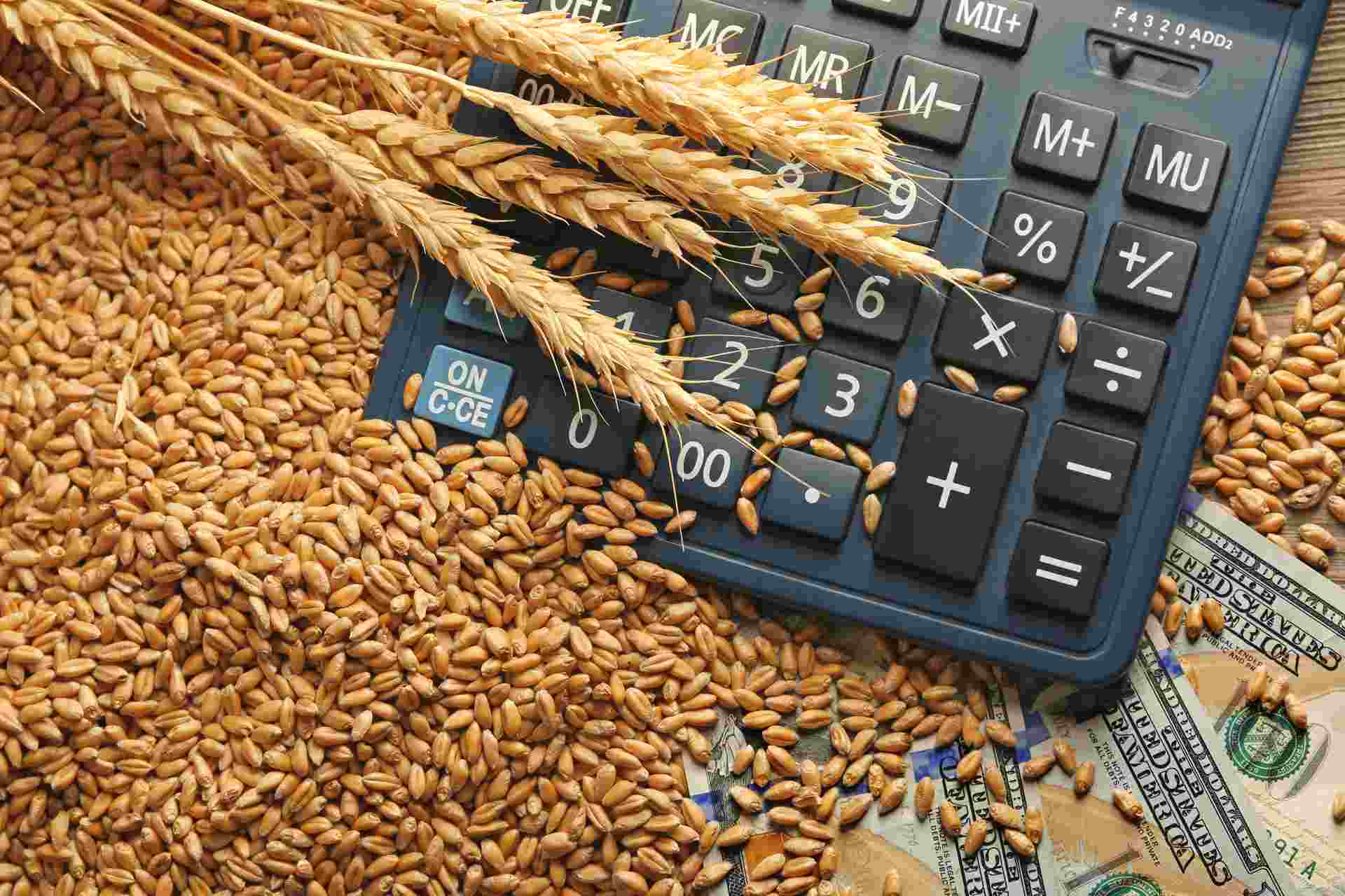 Commodity Weekly: Weather woes keep agriculture commodities on top