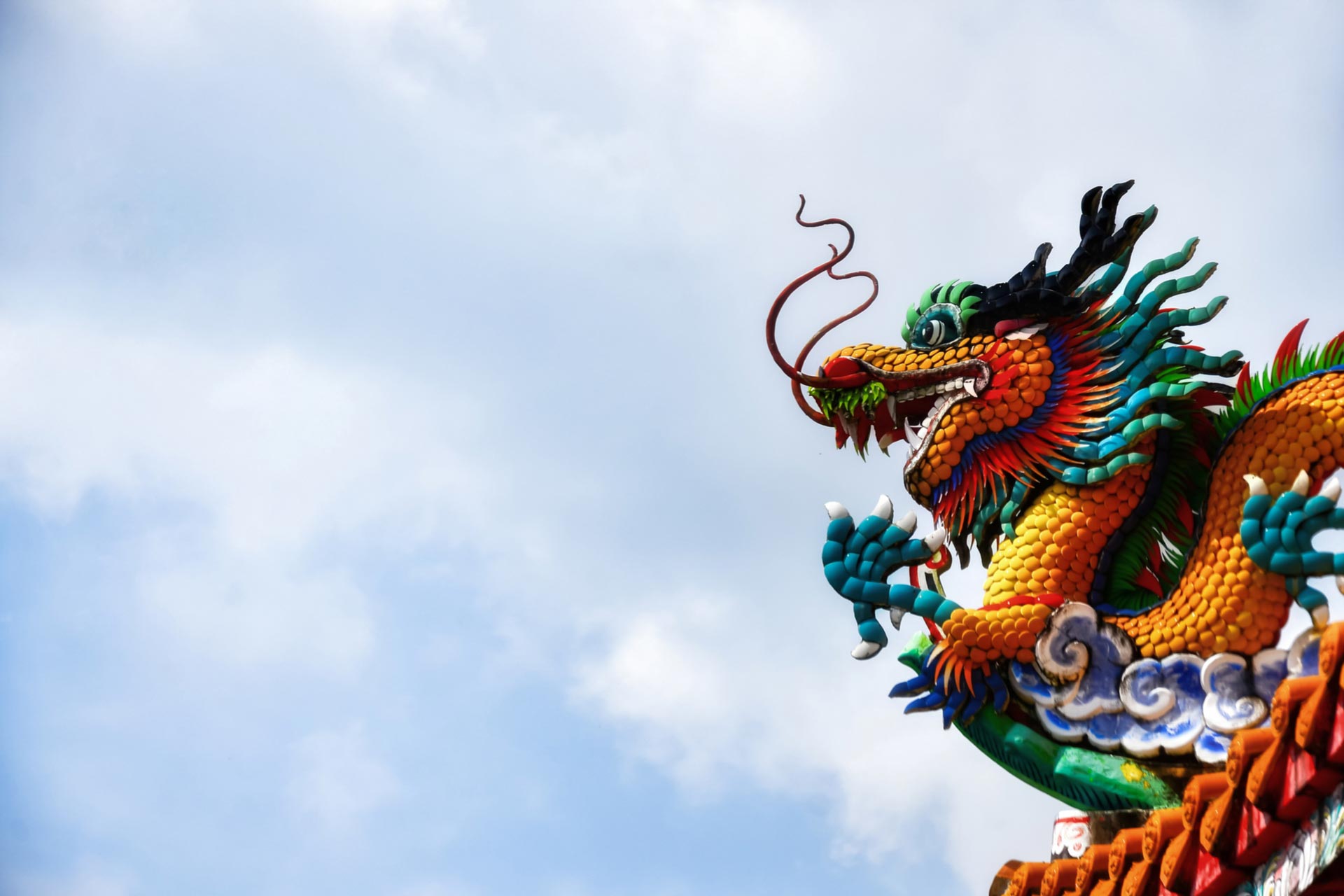 Macro Dragon: China’s back, Coronavirus, “The Bern"