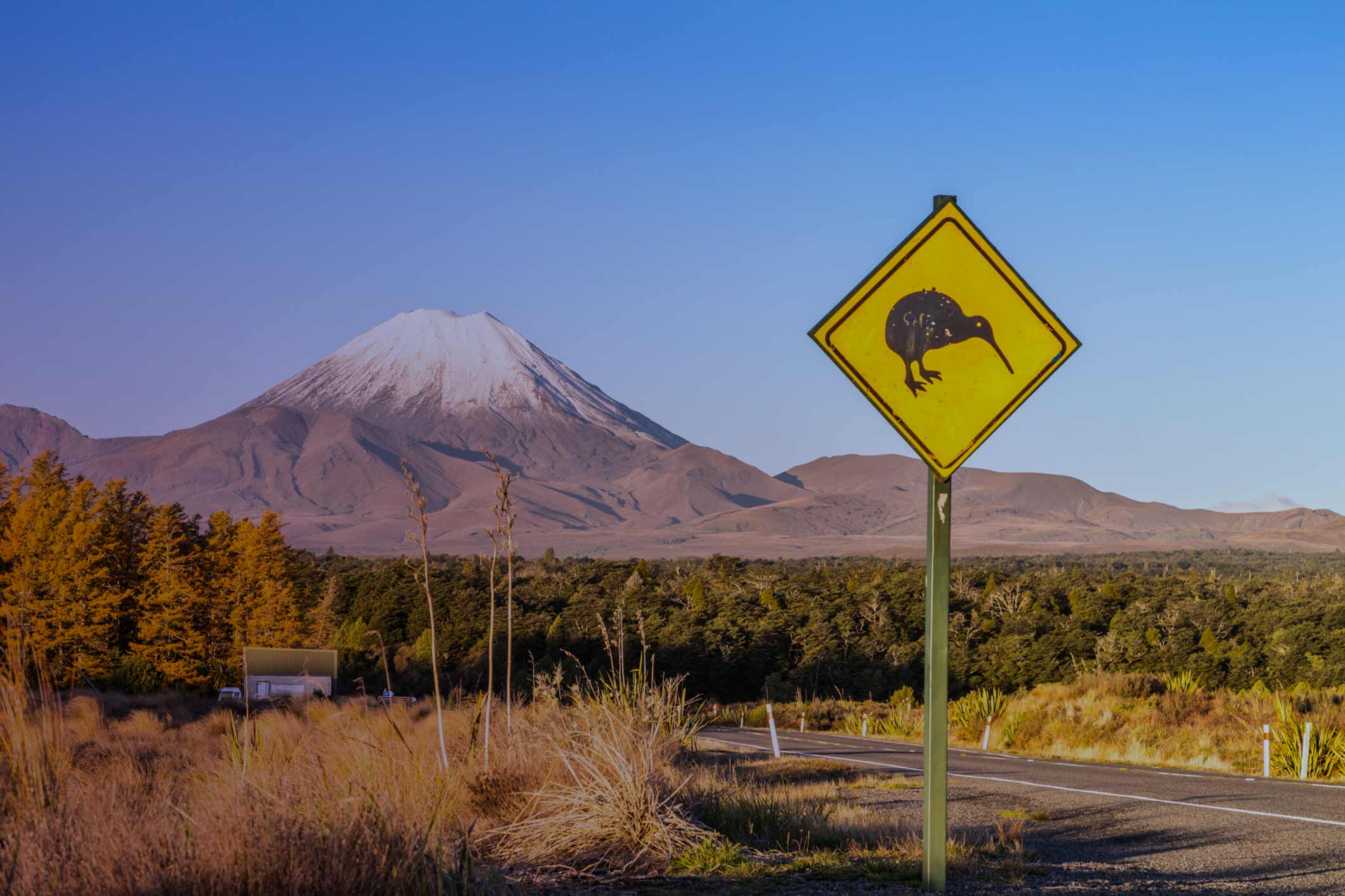 Global Macro APAC Morning Brief