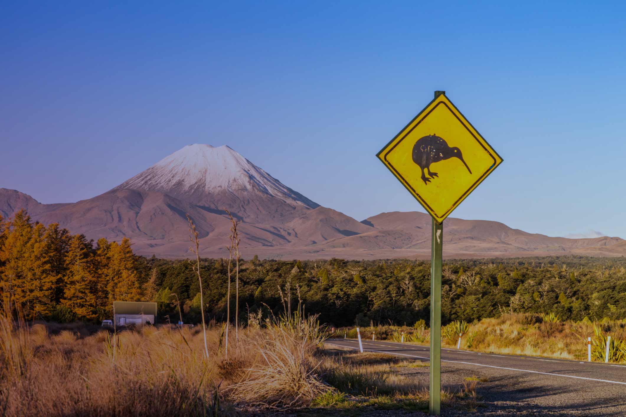 APAC Global Macro Morning Brief – Happy Macro Tue 3 Dec 2019: Is this really risk-off, or a speed bump during Santa Rally?