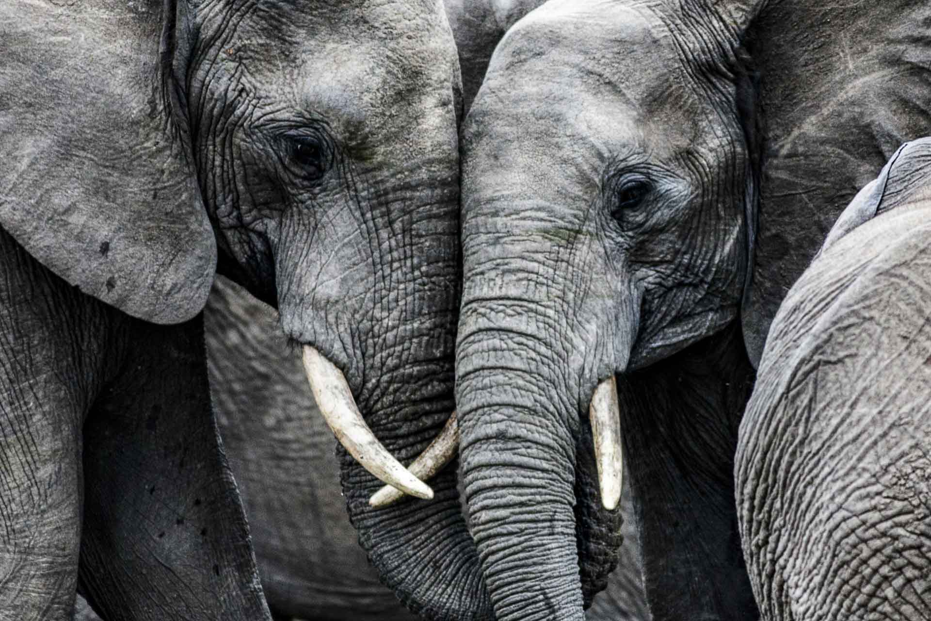 Crypto Weekly: The elephant in the room