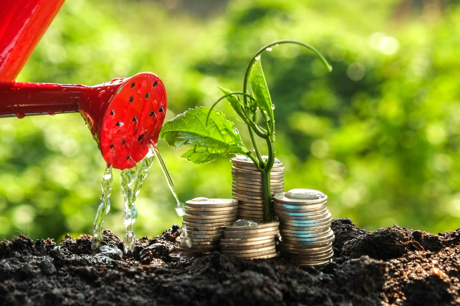 Waarom u uw financiële dromen in een enkel levensplan moet combineren
