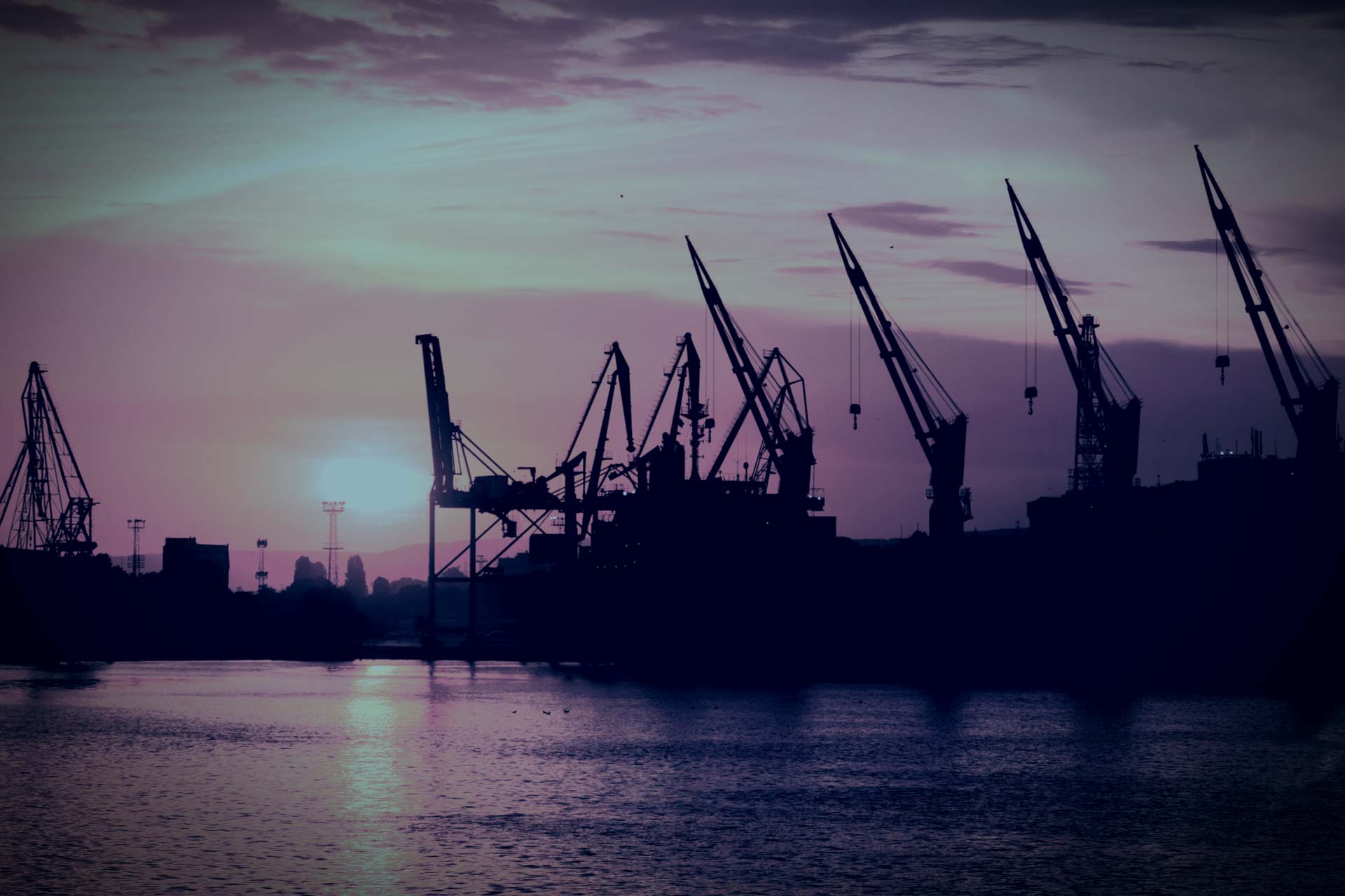 WCU: Commodities remain the hot property of 2021