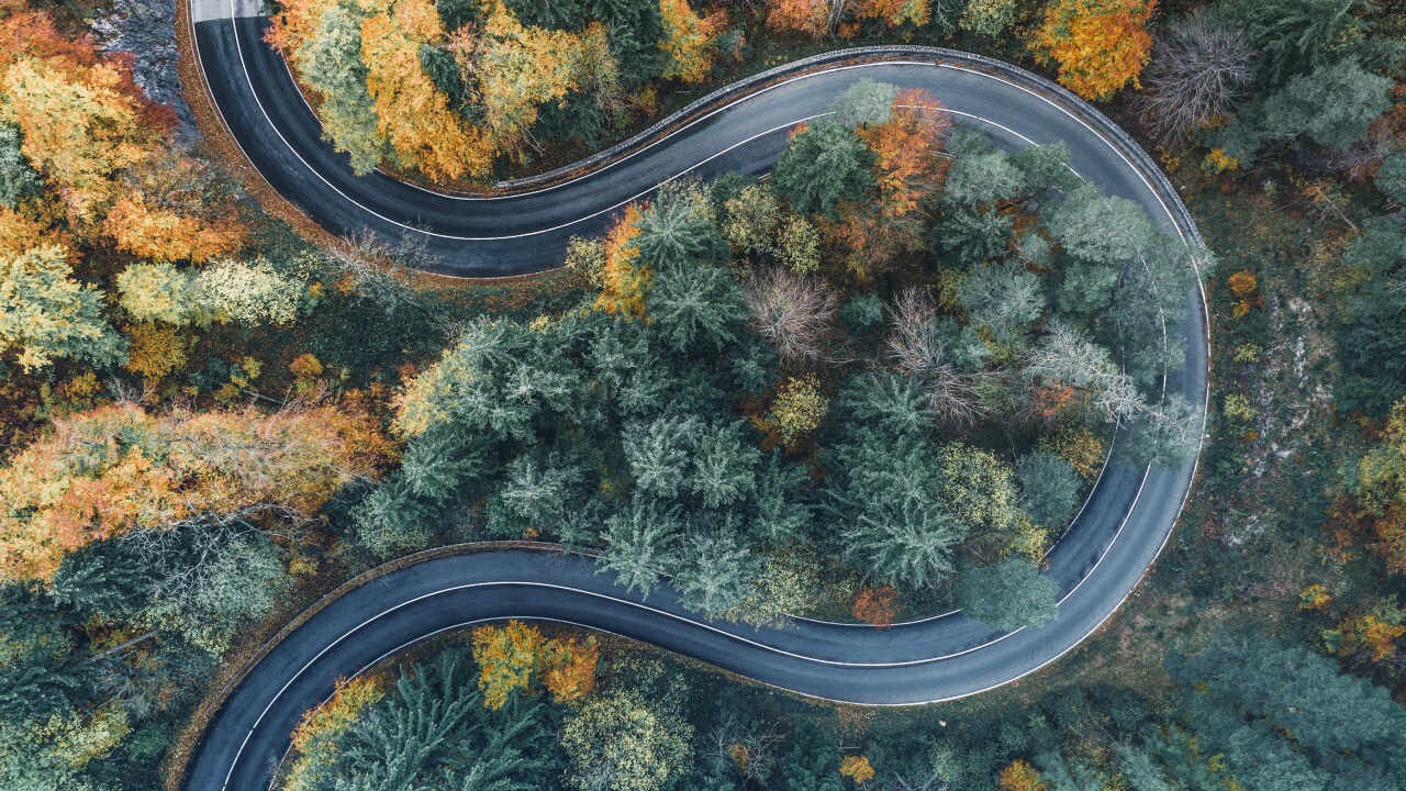 gid1161666161_forestroad_1280x720 1