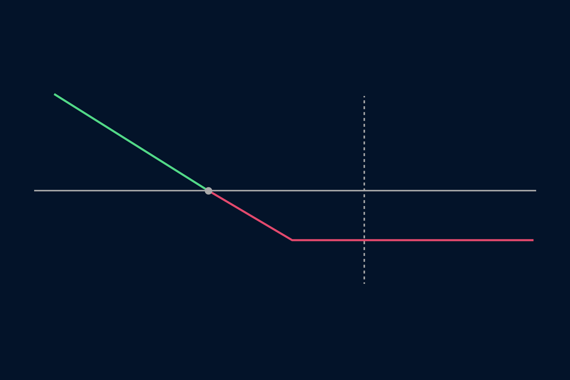 Options Strategies: Long Put