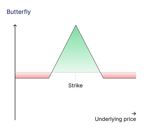insight articles Butterfly