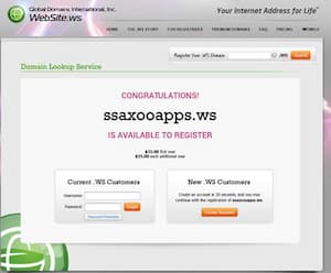 Domain Lookup Service